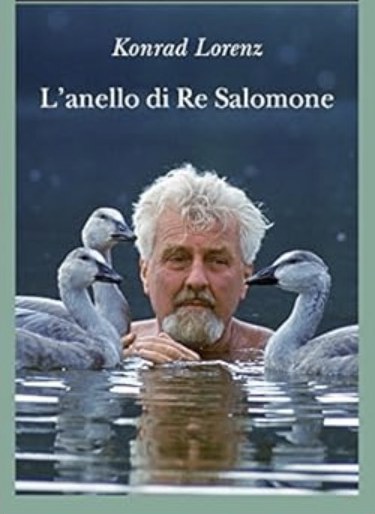 L'anello di Re Salomone