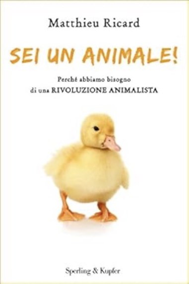 Sei un animale!