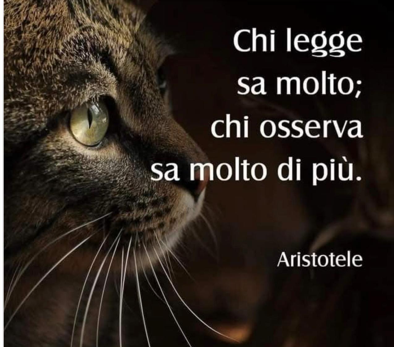 Aristotele