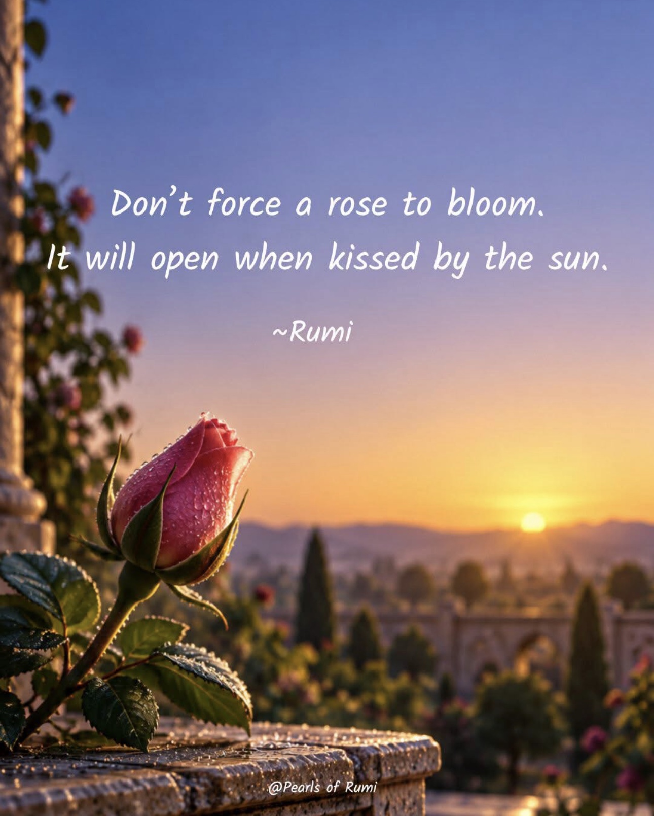 Rumi