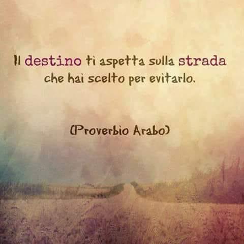 Proverbio Arabo